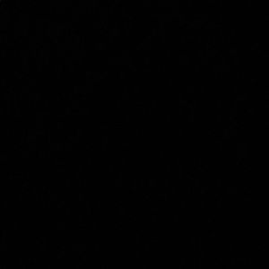 Meet your Posher, Katelyn